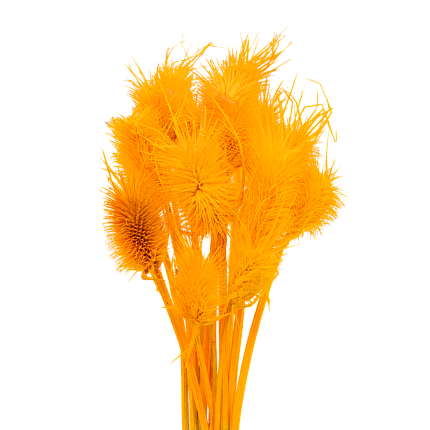 Ворсянка, цвет кислотный оранжевый