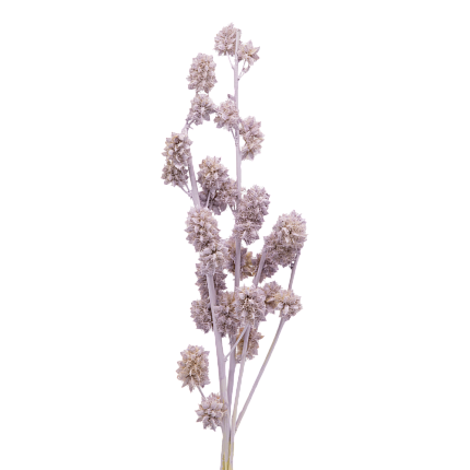 Солодка, цвет жемчужно-лиловый (металлик)